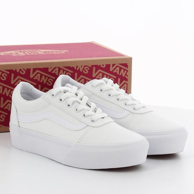 Prodotto: SCARPA WARD PLATFORM (CANVAS) WHITE