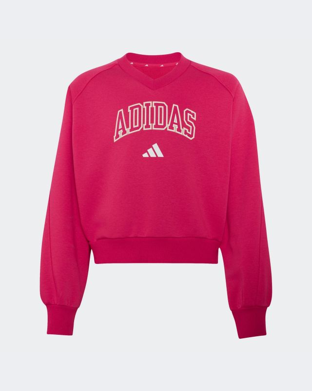 Prodotto: SWEAT CLGT V-NECK PINK